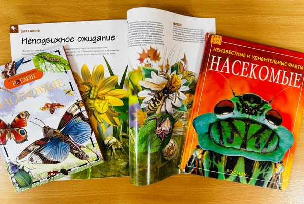Познавательный экологический час искусства мастер-класс «Майская полянка»