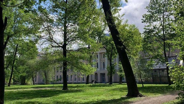 Под открытым небом. Академический пленэр для взрослых
