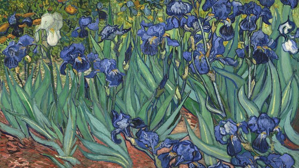 Ирисы Ван Гога. Мастер-класс по живописи