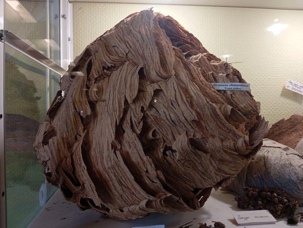 Тематическое занятие