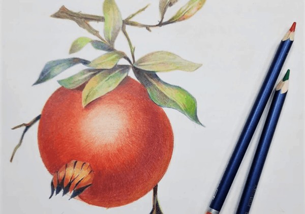 Мастер-класс «Зарисовки карандашом. Гранат»