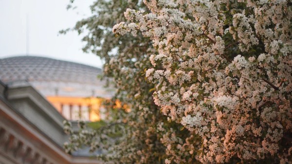 Славный май