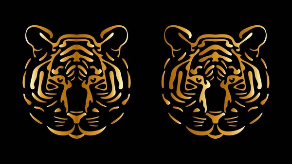 Мастер-класс «Золотой тигр»