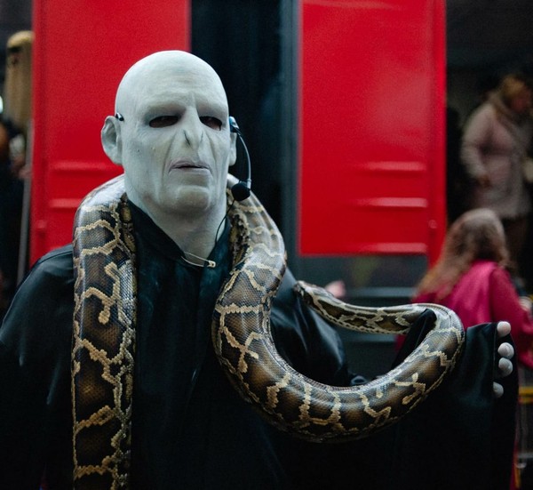 Поезд «Магический экспресс»