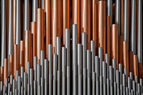 Играют молодые органисты