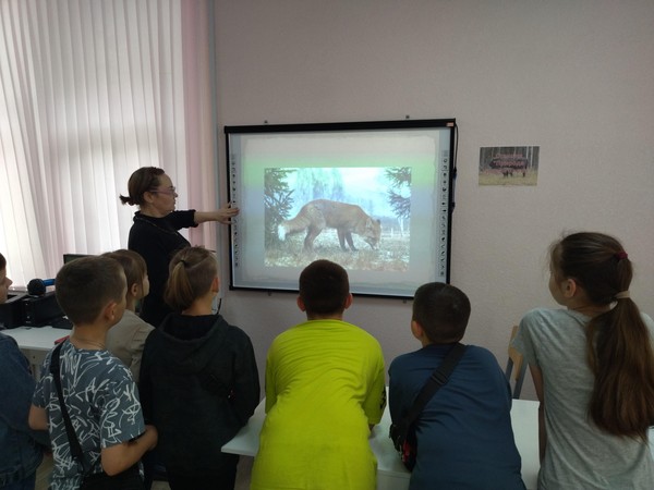 Кинозал «Осторожно, черепаха»