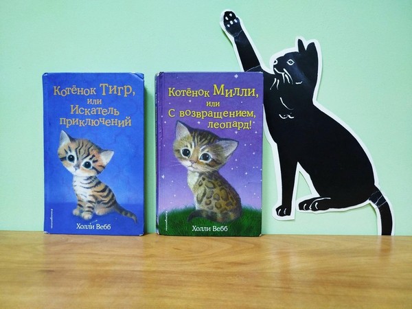 Книжное знакомство «Доброта в каждой строчке»