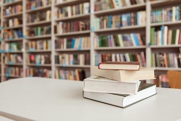 День информации «День новой книги»
