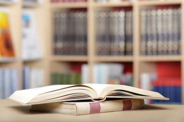 День открытых дверей «Дом, где живут книги»