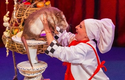 В гостях у дедушки Дурова