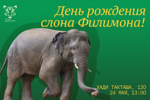 День рождения слона Филимона
