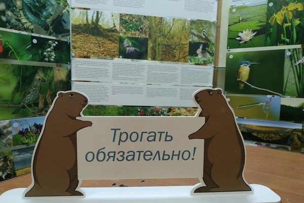 Выставка «От древних морей до ковыльных степей» (г. Старый Оскол)