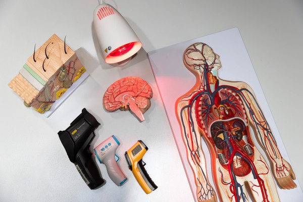 Секреты теплокровных