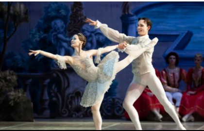 Спящая красавица