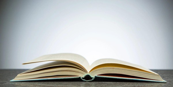 «Творчество Т. Айди»