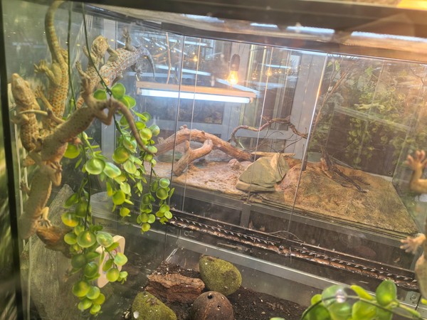 Международный День СОЛНЦА