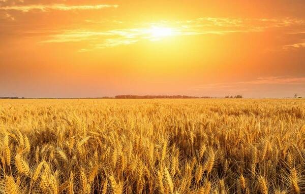 Солнце и жизнь Земли