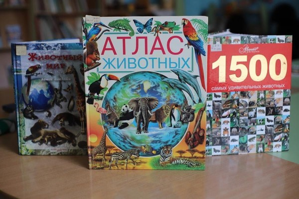 Занятие «Удивительный мир животных: рекорды и тайны природы»