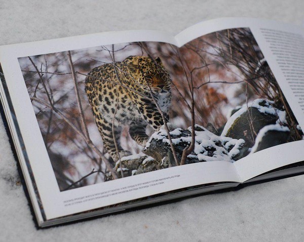 Занятие «Животные-рекордсмены: кто самый-самый?»