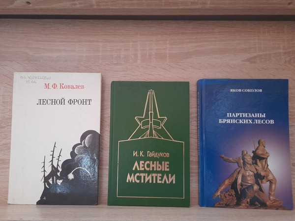 Тематическая полка «По дорогам войны шли мои земляки»
