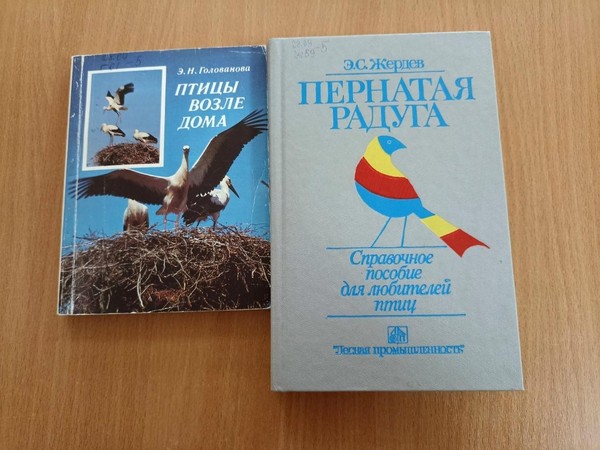 Познавательная программа «Пусть всегда поют нам птицы»