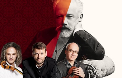 Струнный оркестр «Метаморфоза»