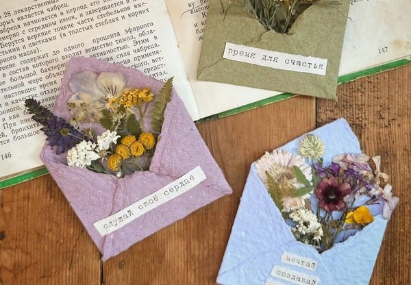 Интерактивное занятие «Северный посткроссинг: письмо в Арктику»