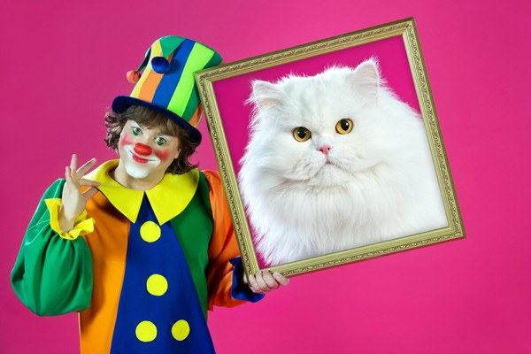 Кот и повар