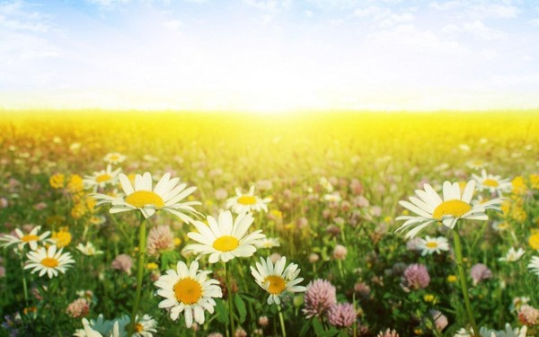 Концерт «Музыкальная миссия – спасти лето»