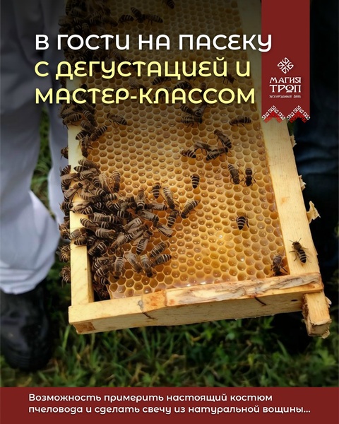 Экскурсия на пасеку "В гости к полосатым"