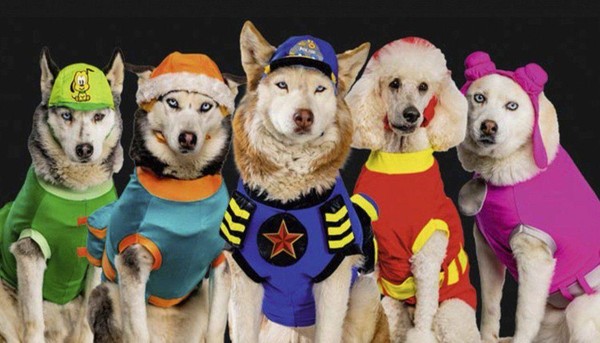 Цирк. «Щенячий дозор»