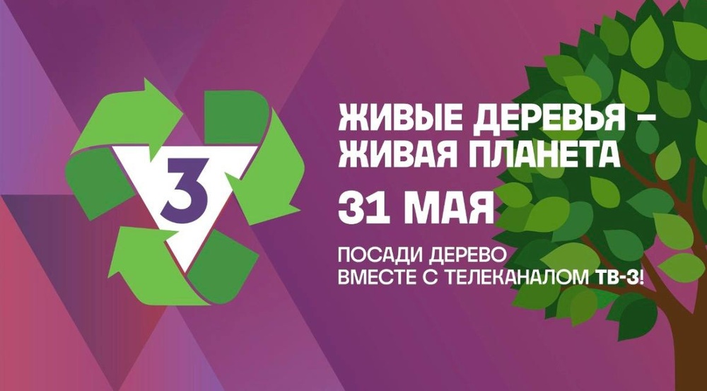 Посадка леса вместе с телеканалом ТВ-3 и экодвижением «Дальше»