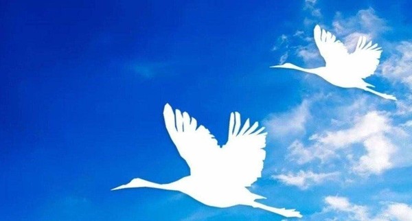 Акция «Журавли памяти»