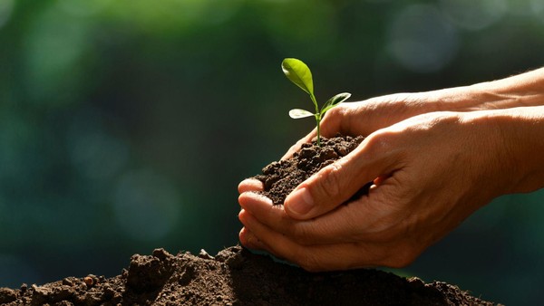 Информационный дайджест «Зеленая Земля»