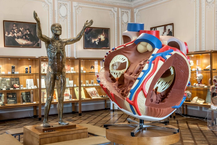 Музей гигиены. Экскурсия со специалистом