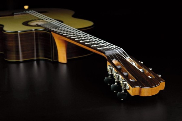 Лекция-беседа «Юрий Васильевич Воронцов гитарист, музыковед, просветитель»