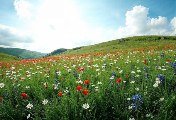Медия-экскурсия «Широка страна моя родная!»