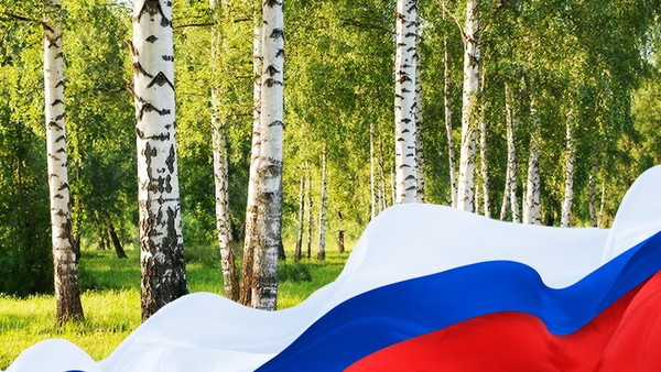 Русская березка символ России. Клуб «Тары-Бары»
