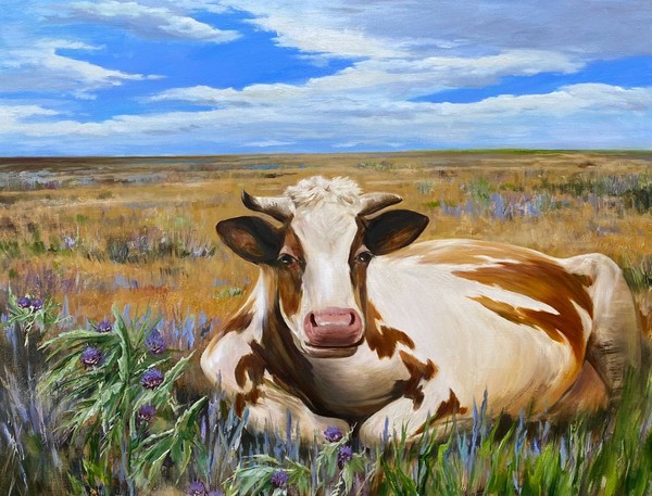 Необъятные просторы