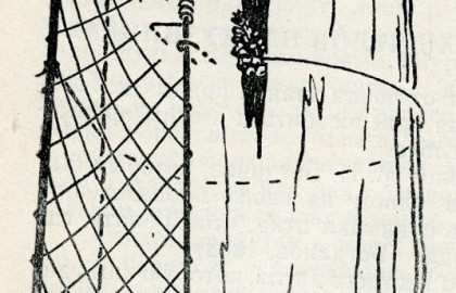 Владимир Фридман