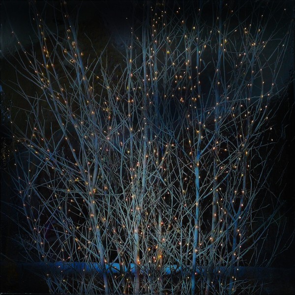 Северин Инфантэ. Метр квадратный