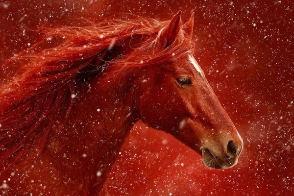 Выставка «Больше красного»