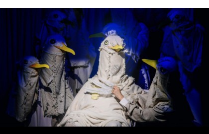 Чайка по имени...