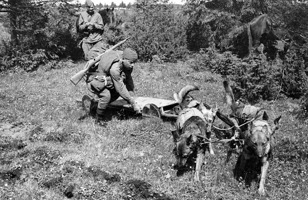 Творческий час «Отважные помощники»