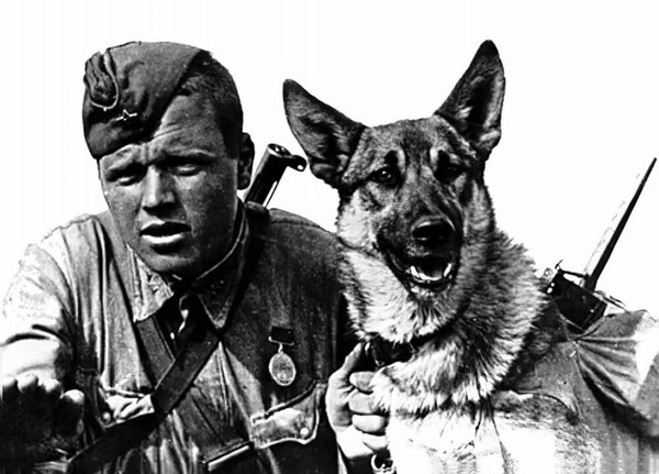 Моноспектакль «Хроники служебных собак»