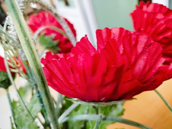 «Гвоздика-символ Победы»