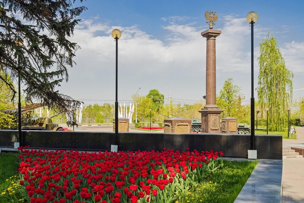 Общегородской историко-культурный урок «Защитники Левобережья»