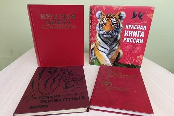 Час экологии «Под защитой Красной книги»