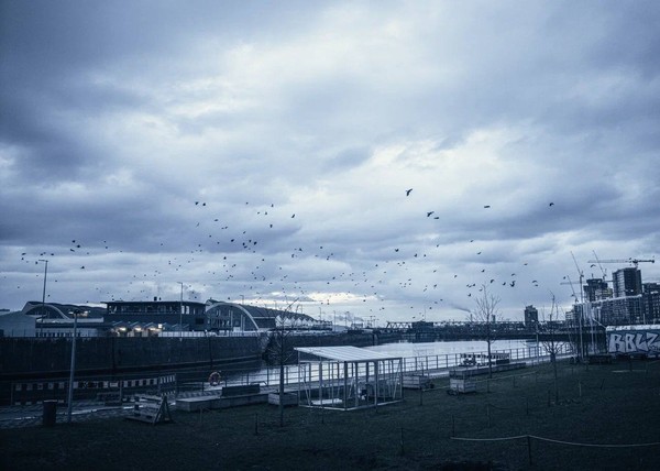 Симпл Мьюзик/Simple Music. Циммер, Арнальдс, Рихтер