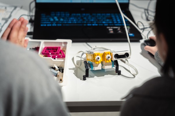 Создание и исследование мягких роботов: активация и переменная жёсткость